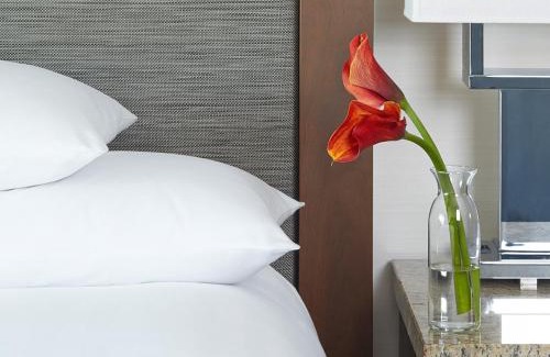 Peachtree Center Hotel | Hyatt Regency Atlanta