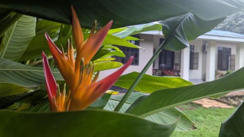 Moshi House | I LOVE AFRICA VILLAs