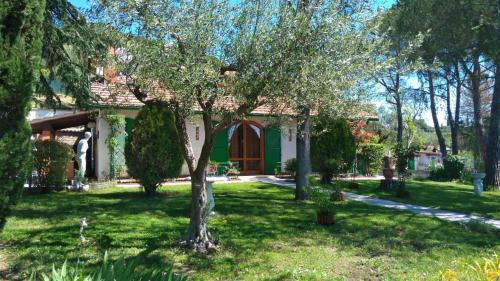 Collesanto House | I Pini House