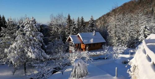 Kamnik House | Ica - hišica v hribih