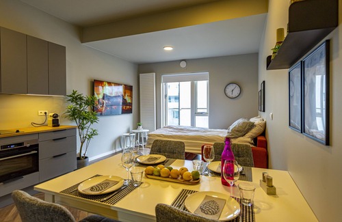 Hliðar Apartment | ICELAND SJF APARTMENTS -201 Free parking Downton Reykjavík