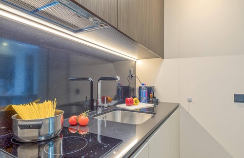 Viganello Apartment | Icon H 305 Suite Micro-living