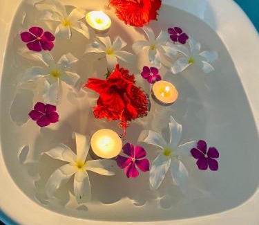 Nasinu House | Ida Homes