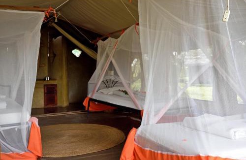 Serengeti National Park Resort | Ikoma Bush Camp