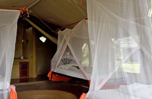 Serengeti National Park Other | Ikoma Bush Camp