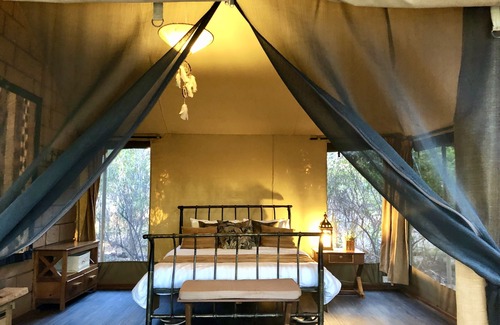 Meru National Park Other | iKWETA Safari Camp