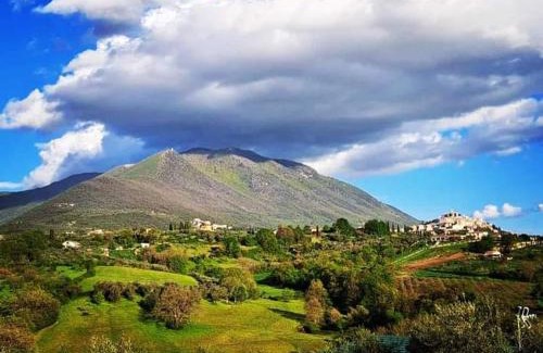 Palombara Sabina House | Il Girasole B&B