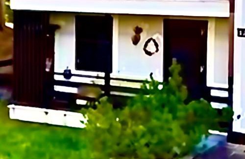 Dosso Veronza Apartment | Il Moro di Cavalese