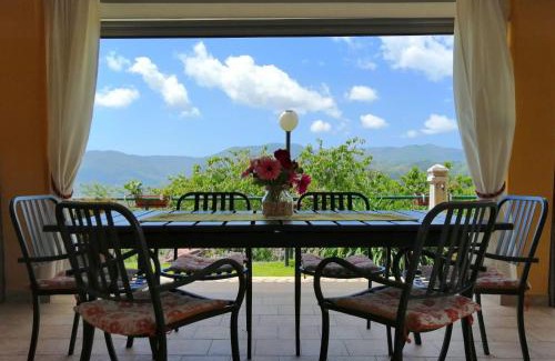 Carozzo Bed & Breakfast | Il Murice