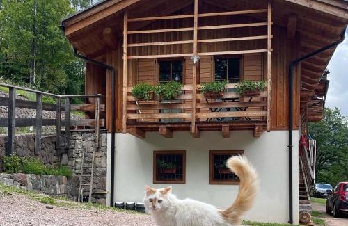 Sant'Orsola Terme House | Il nido al Maso Maoro