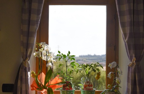 Rivoli Veronese Apartment | Il Pigno Apartment