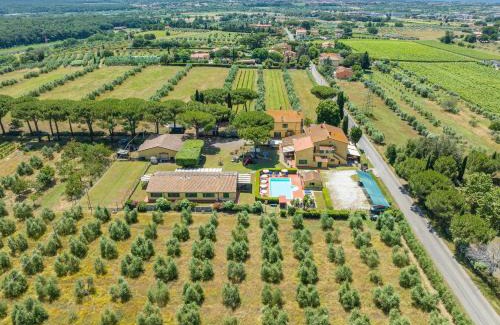 Cecina House | Il Pino - appartamento Alloro