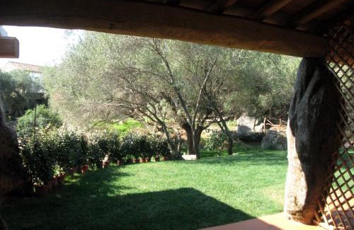 Arzachena Bed & Breakfast | Il Vecchio Ginepro