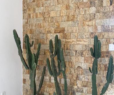 Passa Quatro House | Iluminarch Home