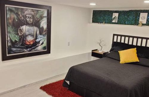 Anahuac Apartment | Increíble Departamento En Chapultepec
