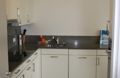 Pregassona Apartment | Indoor Swimming Pool, Sauna, Fitness, Private Gardens, Spacious Modern Apartment