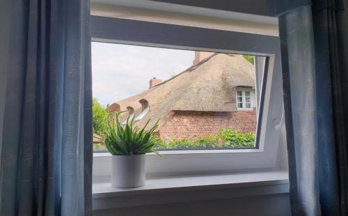 Niebuell Apartment | Inseltor