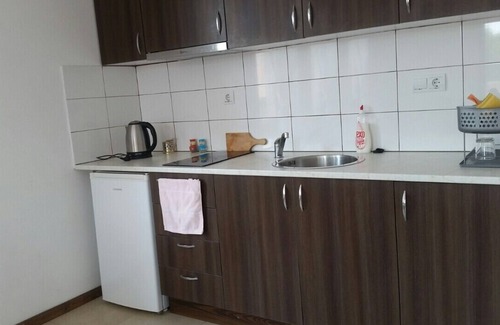 Aleksandrovo Apartment | Inviting 1-Bed Apartment in Aleksandrovo