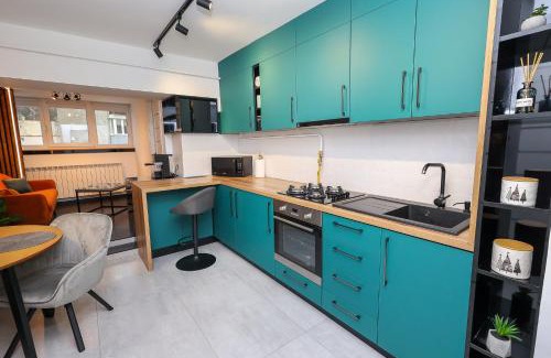 Campulung Moldovenesc Apartment | Ioana Residence Bucovina