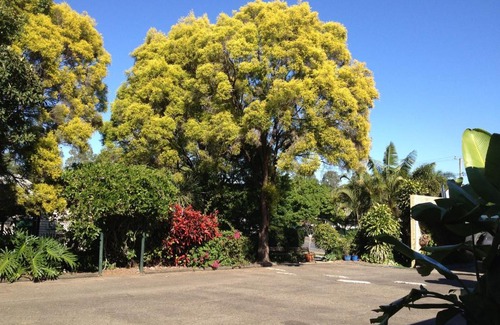 Ipswich Hotel | Ipswich City Motel