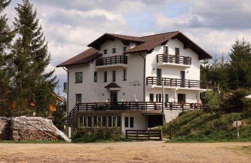 Paltinis House | Irenne