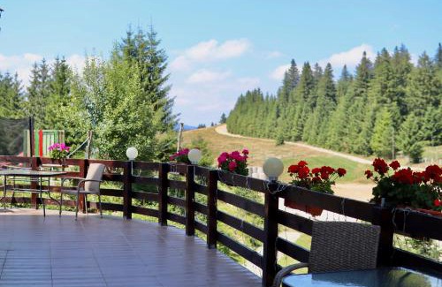 Paltinis House | Irenne