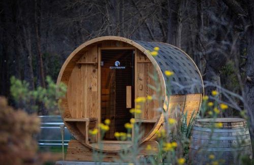 Pelican Lagoon House | Island Alive Guest House