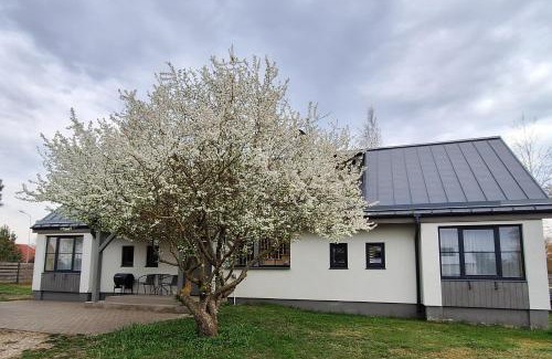 Pavilosta House | Jūras sāga