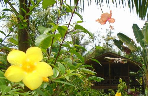 Carenero Island House | J and H Garden Cabinas