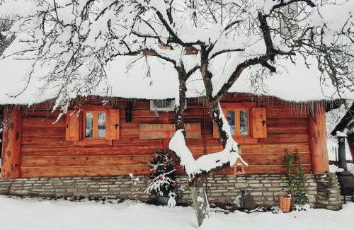 Kalwaria Pacawska Ski Chalet | Jabłoniowa Chatka