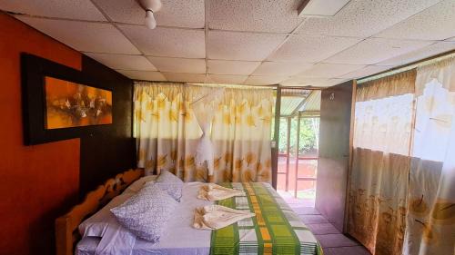Indiana Cabin | Jacamar Lodge Expeditions