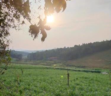 Meenangadi Bed & Breakfast | Jacob's Homestay