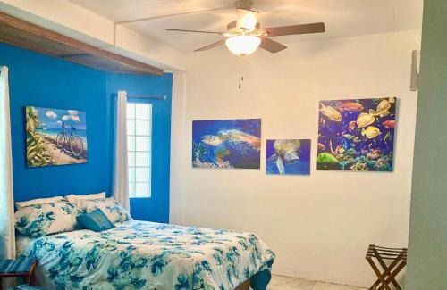 Caye Caulker House | JAGUAR MORNING STAR