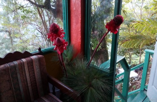 Blue Mountains National Park Cabin | Jamaica House - The Blue Mountain Wilderness Retreat