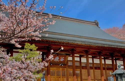 Yudanaka Shibu Onsen Bed & Breakfast | Japanese roomKoishiya Ryokan/Renovate