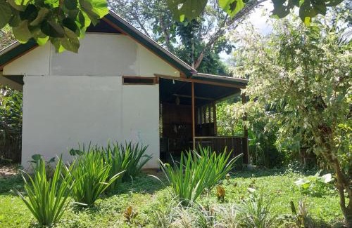 Puerto Maldonado Apartment | JARDIN DE LAS MUSAS