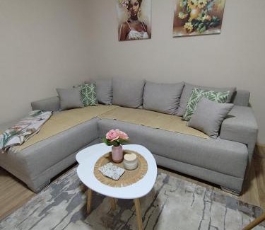 Bajina Basta Apartment | Jaz Apartman