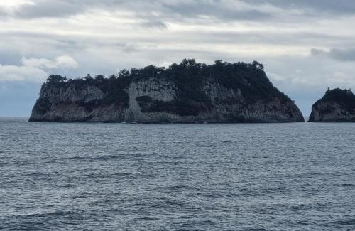 Seogwipo City House | JEJU Amoje