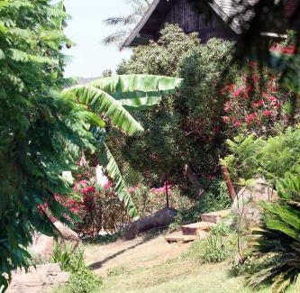 Damour Resort | JHotelResorts