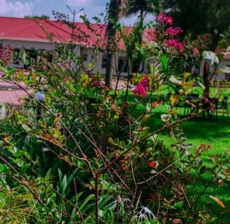 Busia Hotel | jlm hotel-busia