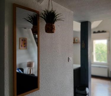 Agen Apartment | Joli appartement en centre ville et au calme