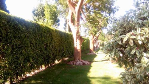 Nile River Luxor Resort | Jolie Ville Hotel & Spa Kings Island Luxor