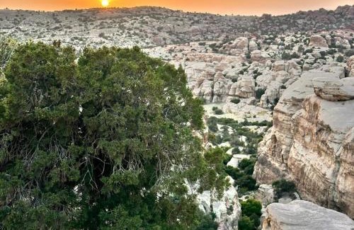 Al-Qadisiya Bed & Breakfast | Jordan trail from dana to petra