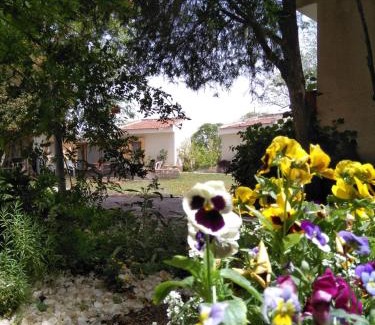 Kfar Ruppin Cabin | Jordan Valley Birding Lodge