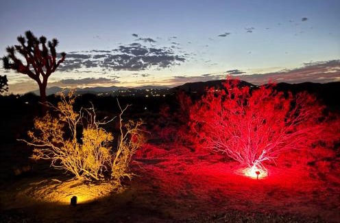 Joshua Tree Ski Chalet | Joshua escape