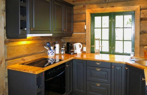 Nissedal House | Josteinbu by Interhome