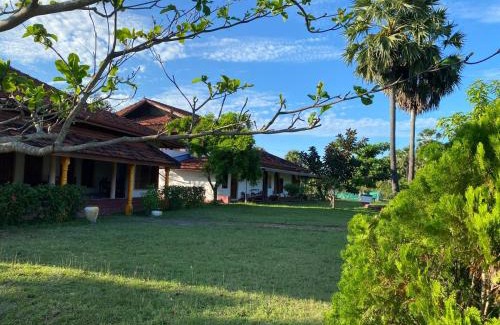 Pasikuda Bed & Breakfast | Joytinat Yoga Ayurveda Villa