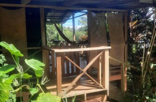 Isla Bastimentos Apartment | Jungle Cabin, with ocean views, monkeys and sloths 5 min walk to amenities