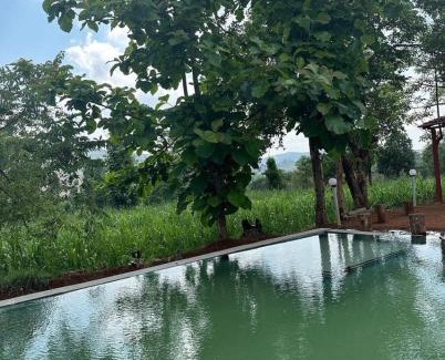 Amba Hotel | Jungle Mist Resort
