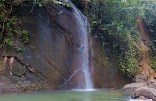 Ginigathena Resort | Jungle River